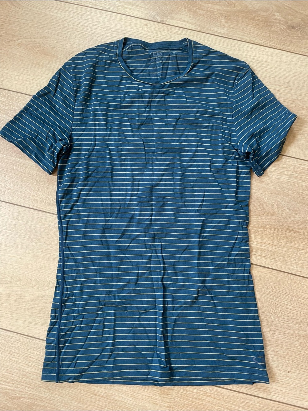 Icebreaker Merino Wool Blue Striped Short Sleeve Tee